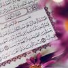 sheikhalishekuwe