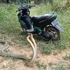 apok.joki