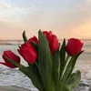 quranquran904