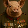 adamka_dirov22852