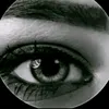 .zoph23
