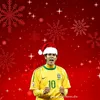 que_pongo_aqui21