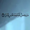 selayman.fahmi