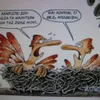 andreas.adamou8
