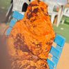 mudhudhuqo5