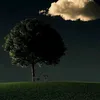 hhjko579