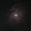 noshky8