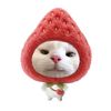its.mehall