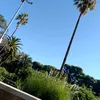 yuleimy_aymuro