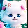 arifinahmmed
