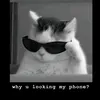 egorik.kirsanow13
