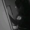 deysi.carbajal