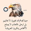 user5266150249661