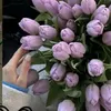 ali.bb49