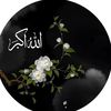 user4331159370445