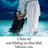 hoa.hong673