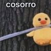 patto7336