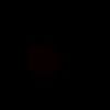 xd175781