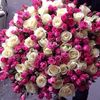 tasha78917041