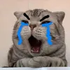 misscrc_03