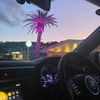 112_olive_112