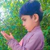 mdamin.sherani