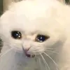 tunovn22