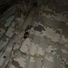 jhl_55