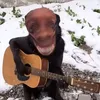 omgclgv