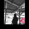 mauraacantii_