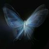 bluertia