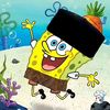 budksolidbudkgame_2