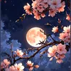 chu.thi.kim.oanh