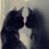 8__llli