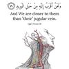 alhamdulillah7357