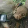 monke7682