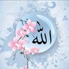 user43930353322541