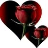 user1796627267218
