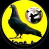 user92620134837267