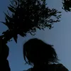 ldont_mind