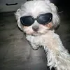 jaja..com.ph