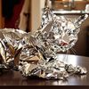tin_foil_cat_