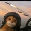 tom.mco_