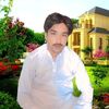 syedshoukatabbasb