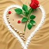 user218534908103