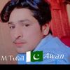 tufailawanawan426