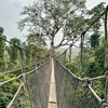 Kakum National Park