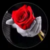 user1032712800043