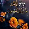 saed.gabr