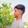abdullah.bb66